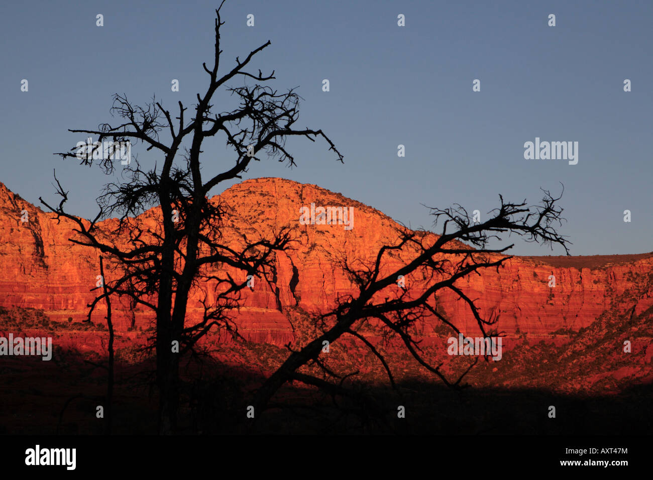 Vista al tramonto di rocce rosse e MUNDS Mountain Wilderness da Bell Rock percorso in Sedona in Arizona USA Foto Stock