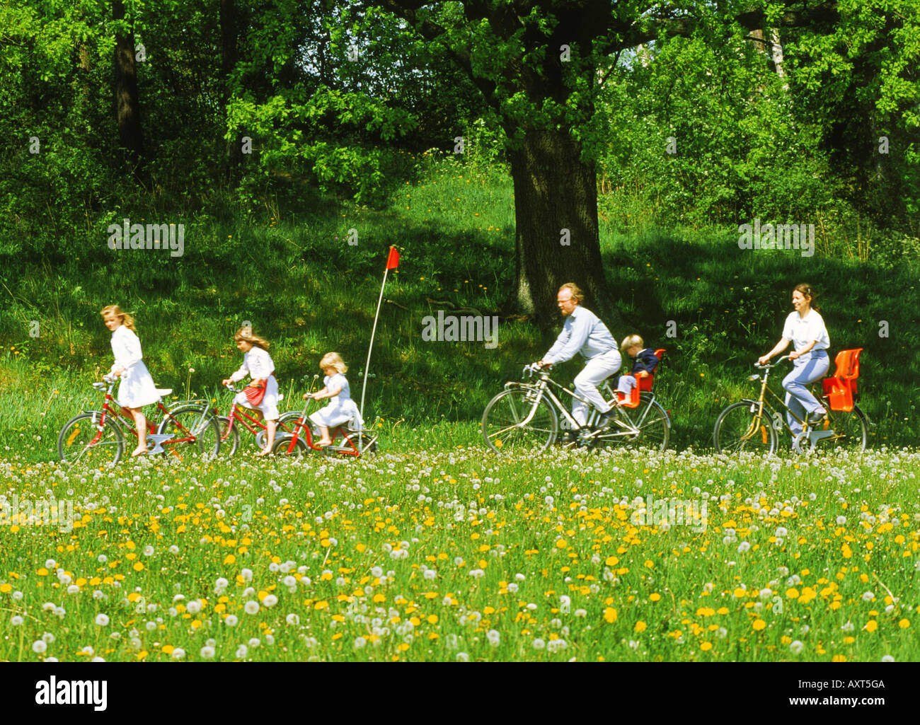 Famiglia percorsi in bicicletta lungo la strada di campagna campo passato selvatiche di fiori d'estate Foto Stock