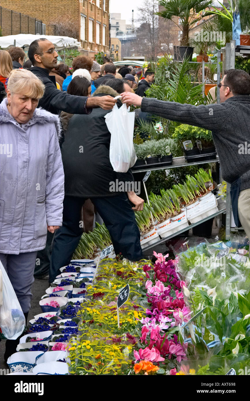 Columbia Road Flower Market in London s East End Foto Stock