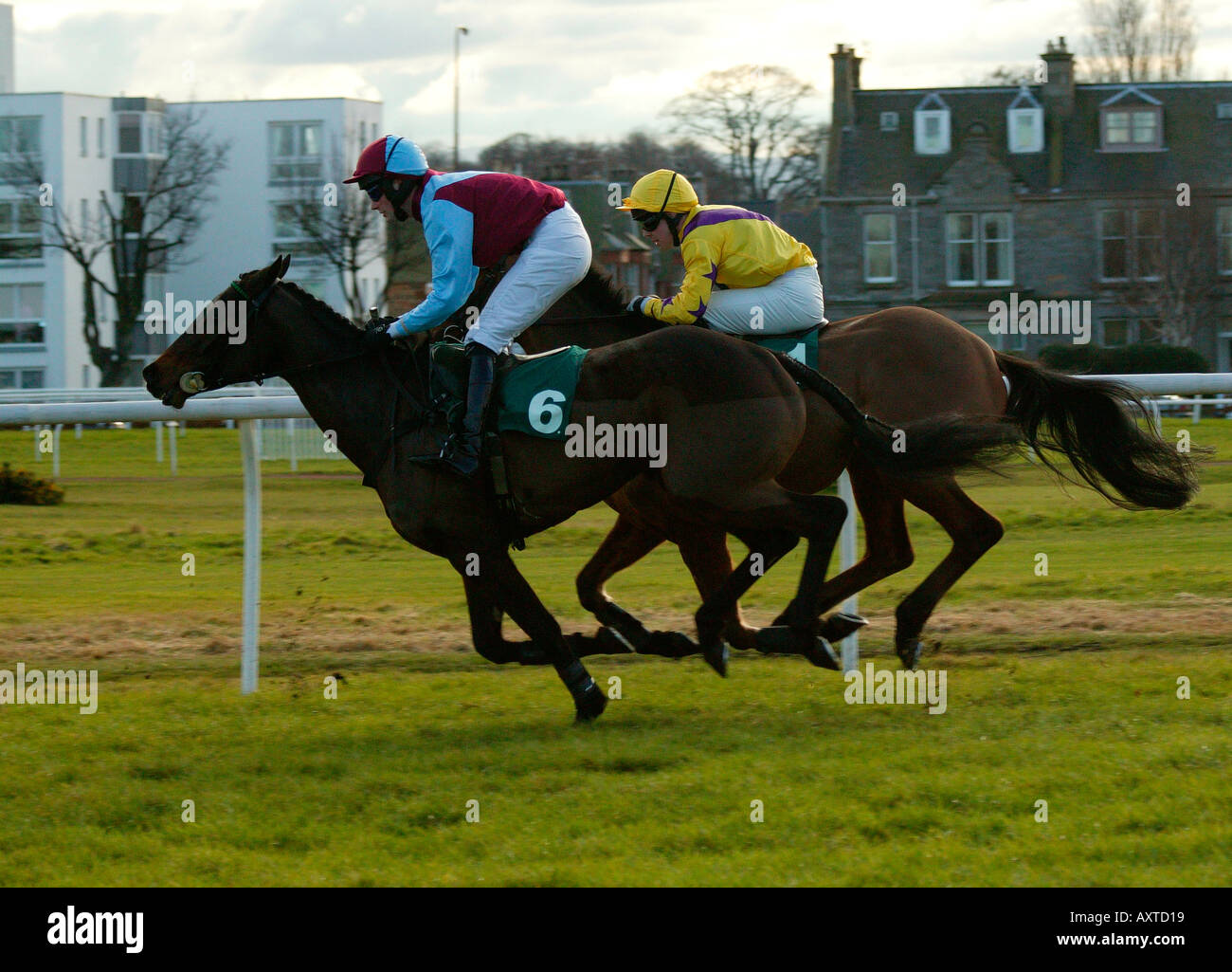 Corse di cavalli a Musselburgh race course East Lothian Scotland Regno Unito 2005 Foto Stock