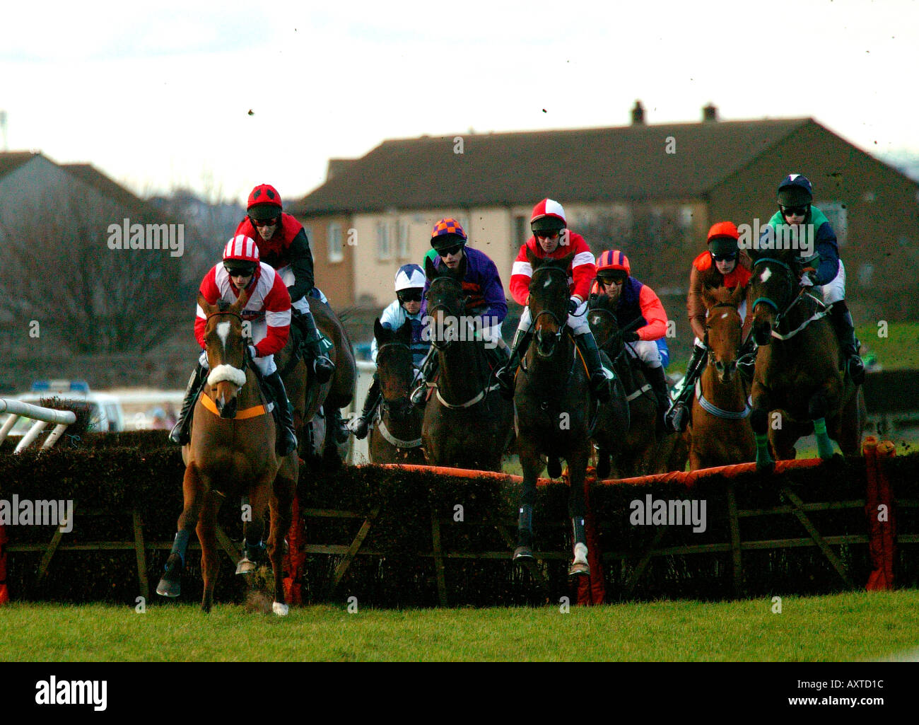 Corse di cavalli a Musselburgh race course East Lothian Scotland Regno Unito 2005 Foto Stock