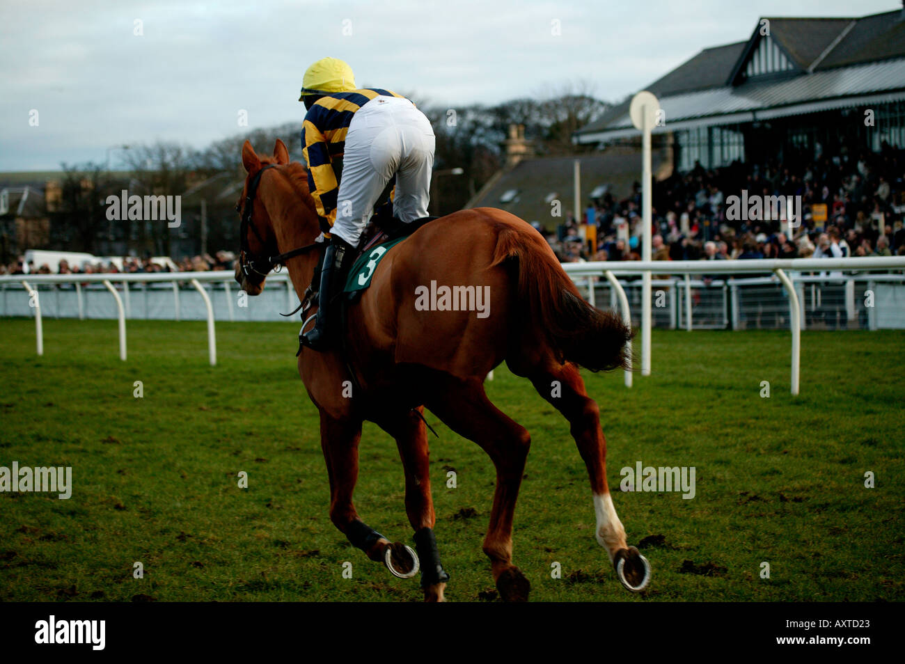 Corse di cavalli a Musselburgh race course East Lothian Scotland Regno Unito 2005 Foto Stock