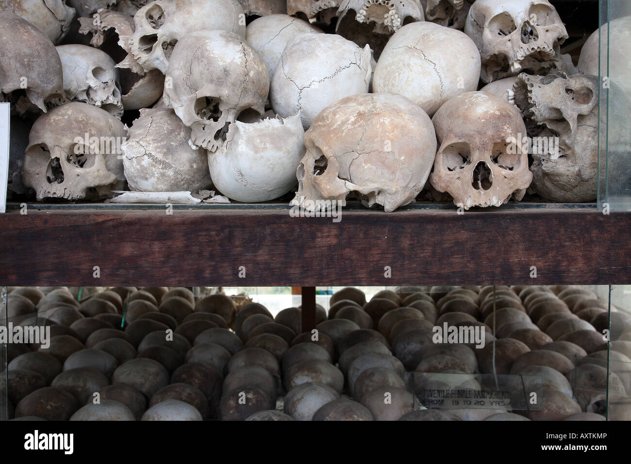 Teschi di khymer rouge vittime, killing fields, Cambogia Foto Stock