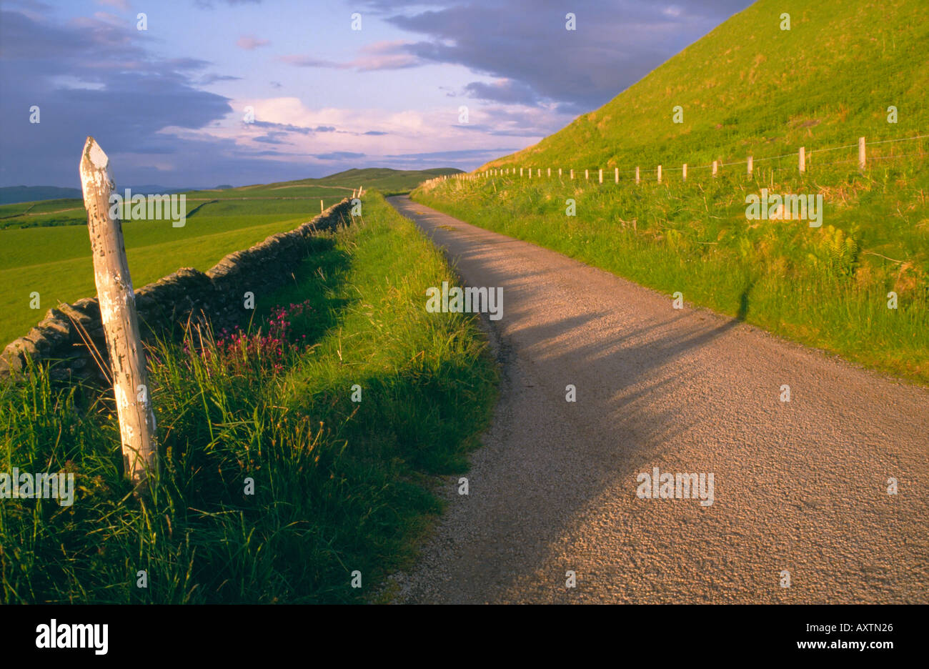 Nei pressi di Machrihanish, Kintyre, Argyll and Bute, Scotland, Regno Unito. Una strada di campagna Foto Stock