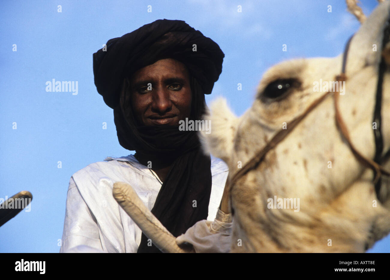 Tribesman sul suo cammello alla cura Salée Festival di musica nel deserto, vicino Ingall, Niger, Africa occidentale Foto Stock