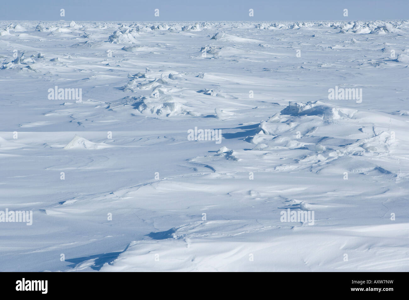 Paesaggio invernale a Churchill, la Baia di Hudson, Manitoba, Canada, America del Nord Foto Stock
