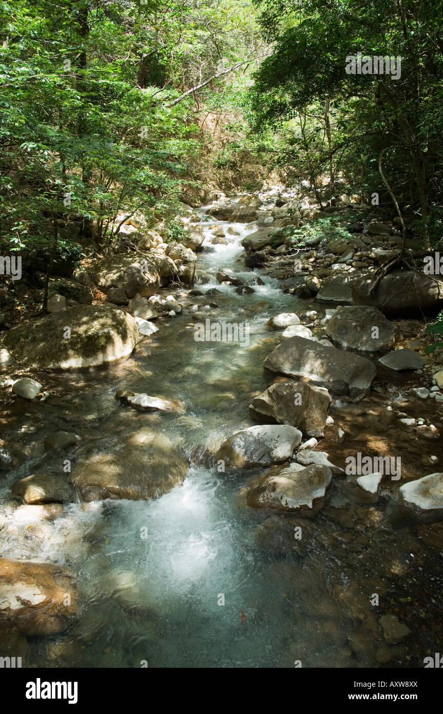 Rincon de la Vieja National Park a piedi del vulcano Rincon, Gaunacaste, Costa Rica Foto Stock