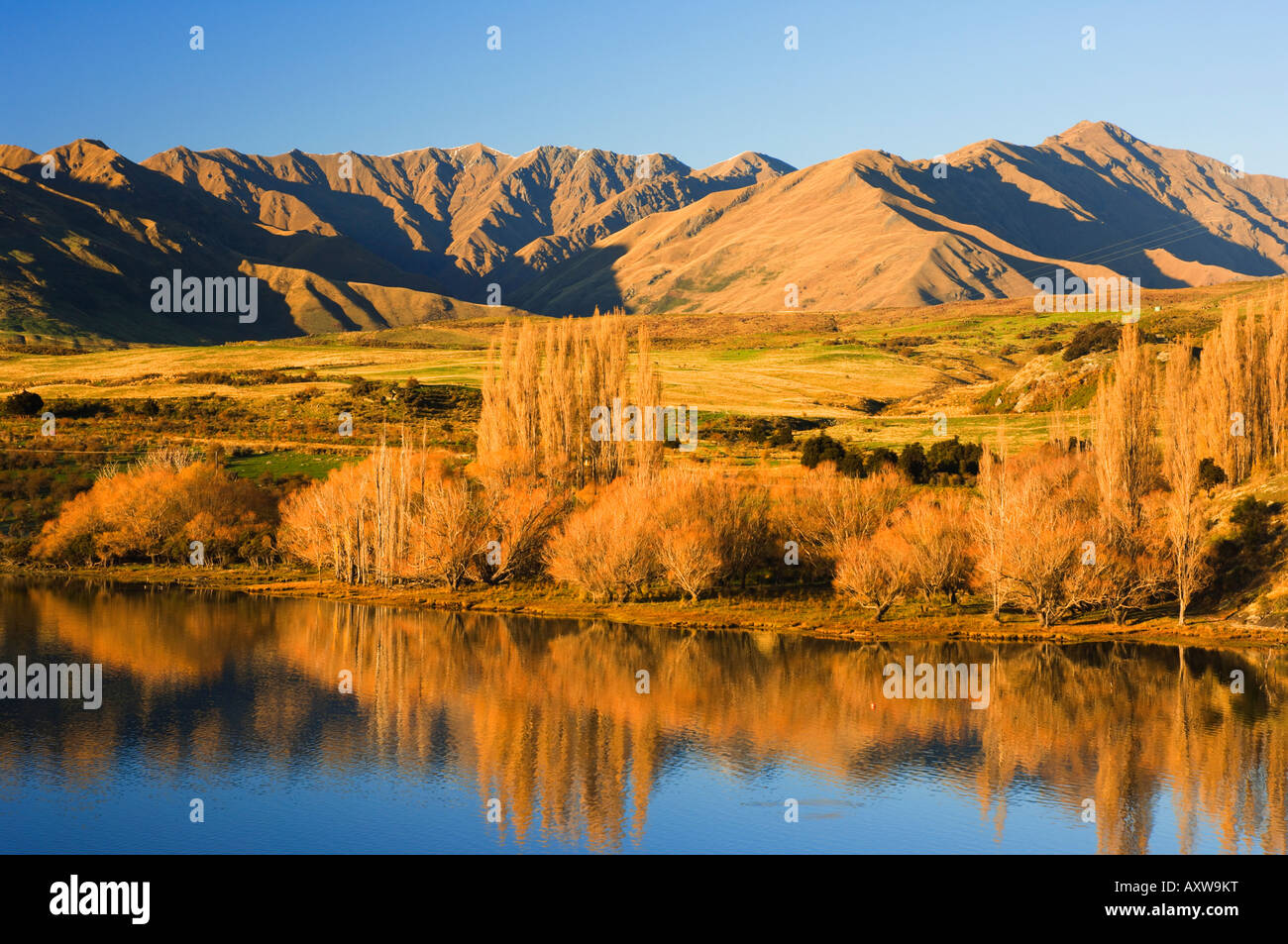 Glendhu Bay, il lago Wanaka, Wanaka di Central Otago, South Island, in Nuova Zelanda, Pacific Foto Stock