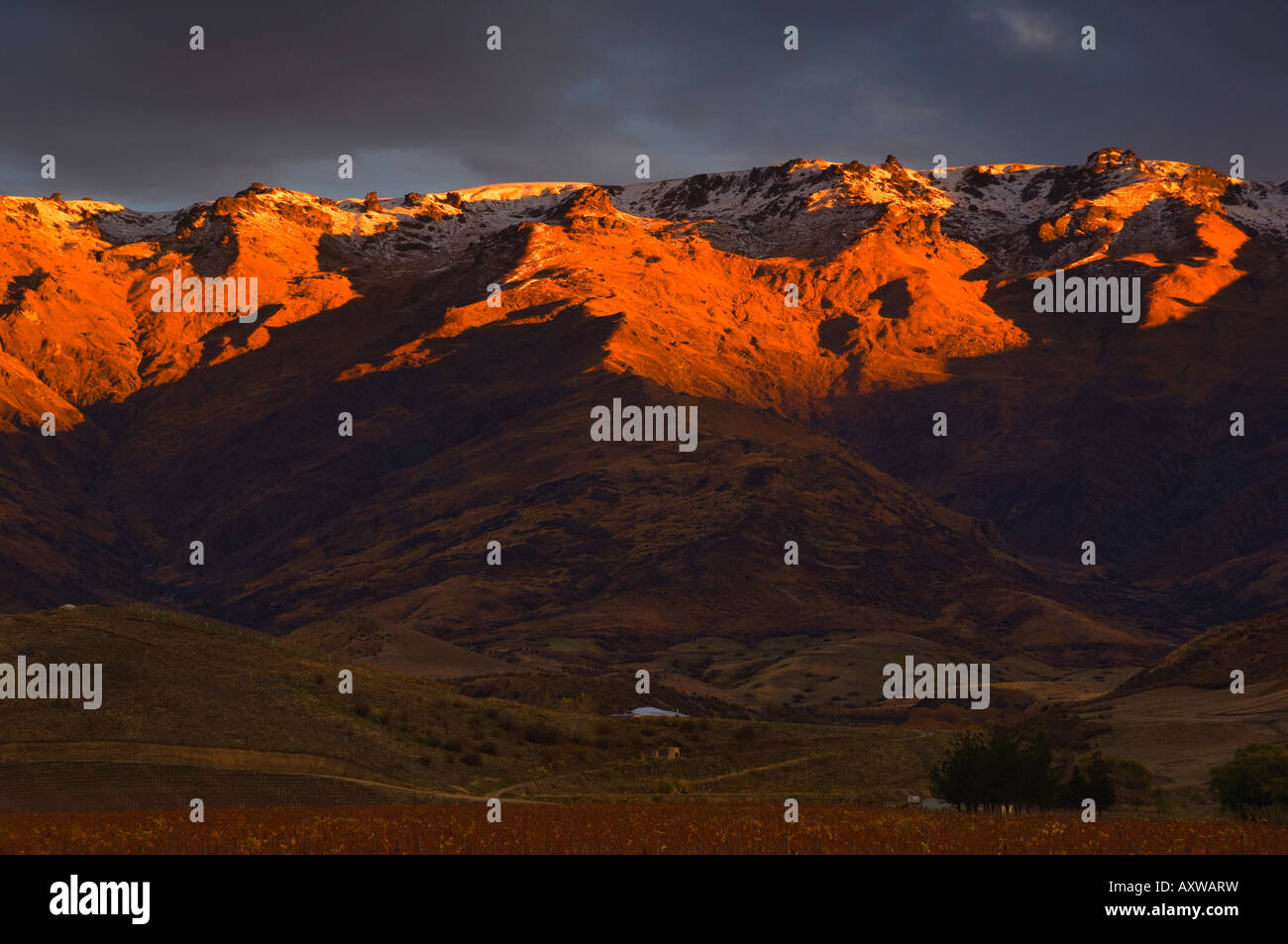 Gamma di Pisa, il Monte Pisano di Central Otago, South Island, in Nuova Zelanda, Pacific Foto Stock