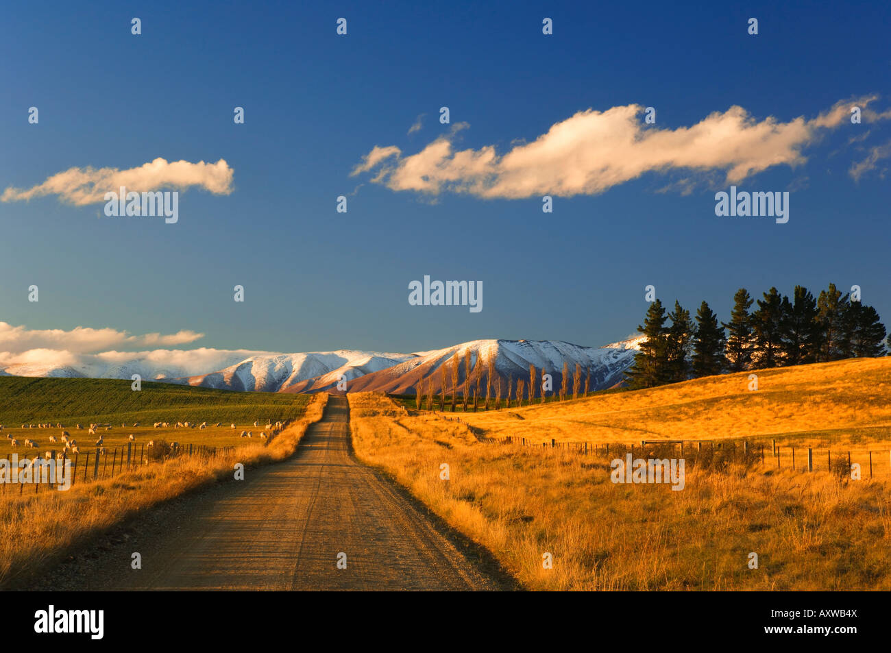 Strada di ghiaia e Gamma Hawkdun, Ranfurly di Central Otago, South Island, in Nuova Zelanda, Pacific Foto Stock