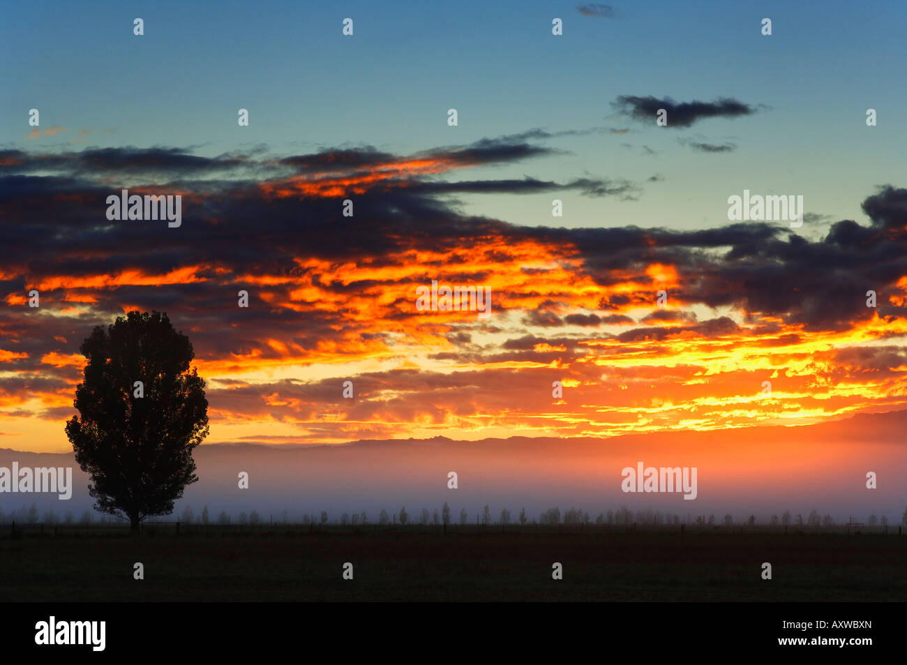 Sunrise, Alexandra di Central Otago, South Island, in Nuova Zelanda, Pacific Foto Stock