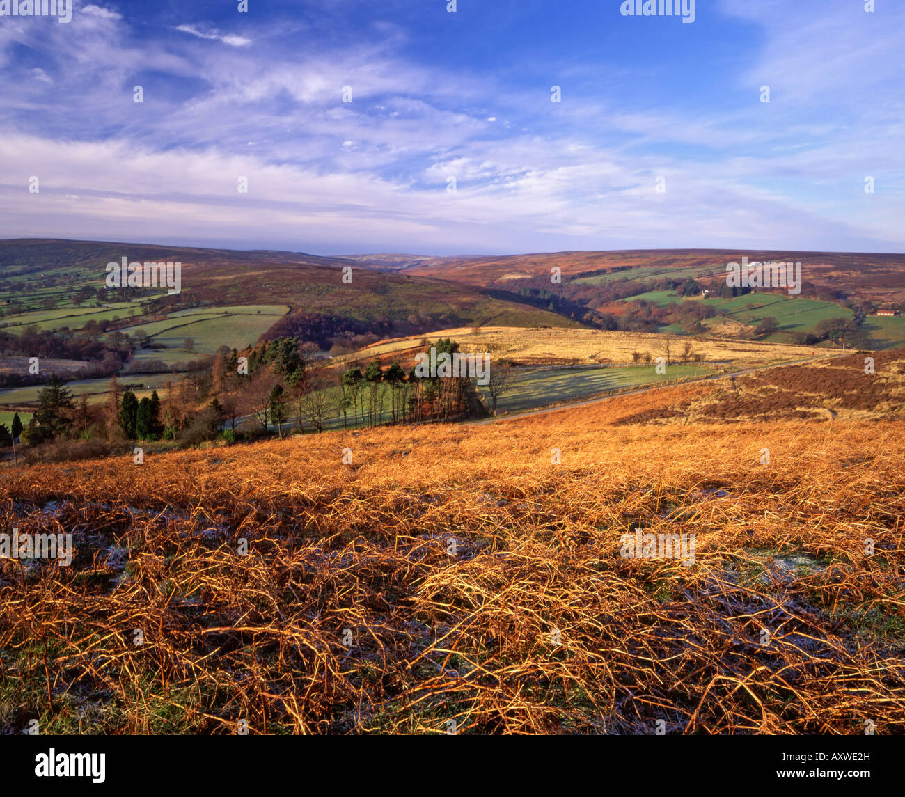 Westerdale da Castleton Rigg, North York Moors National Park, North Yorkshire, Inghilterra Foto Stock