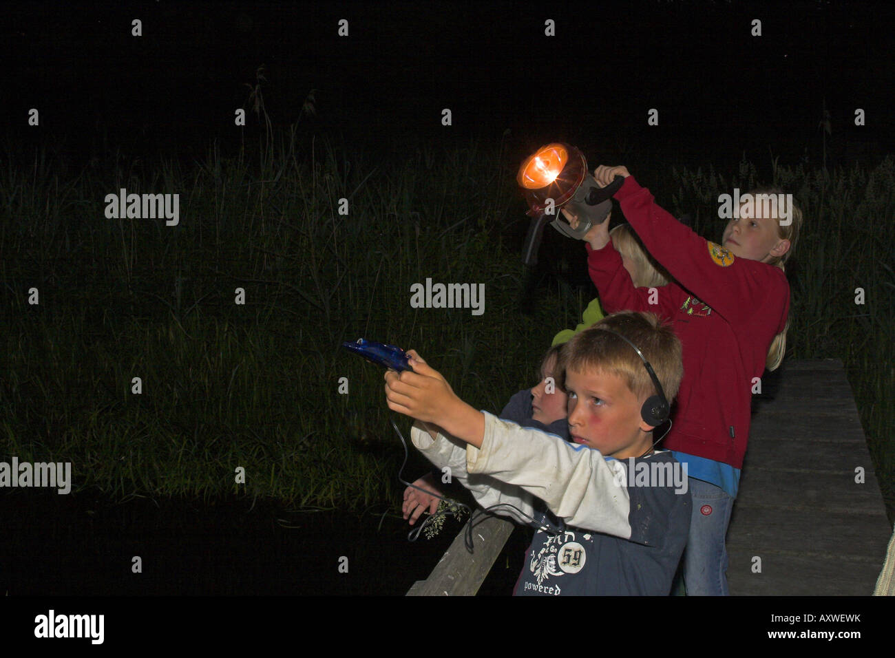 Bambini su un bat-escursione di notte, con lampada tascabile e bat-rivelatore Foto Stock