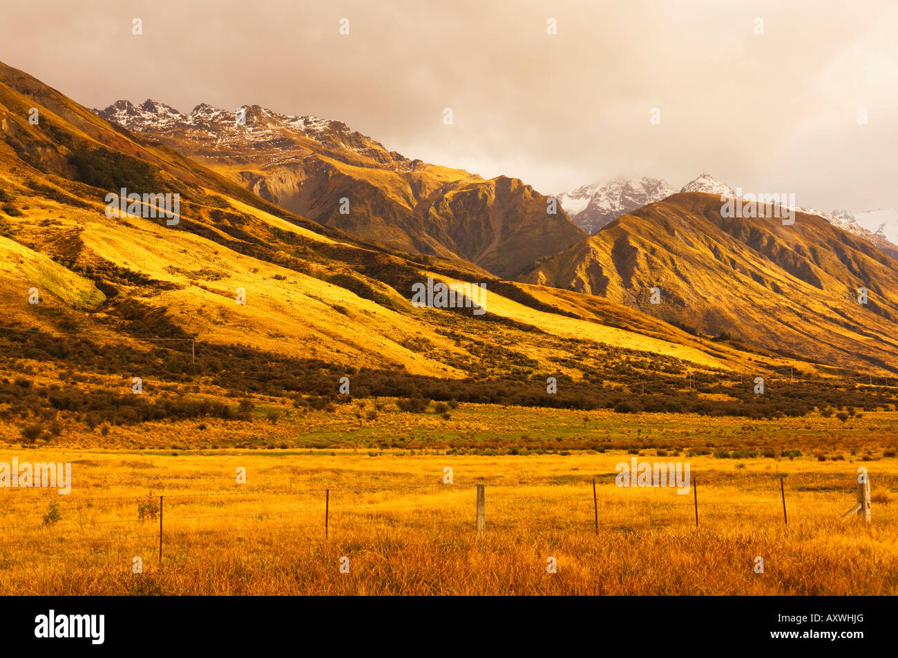 Pascoli e Ben Ohau gamma, Canterbury, South Island, in Nuova Zelanda, Pacific Foto Stock