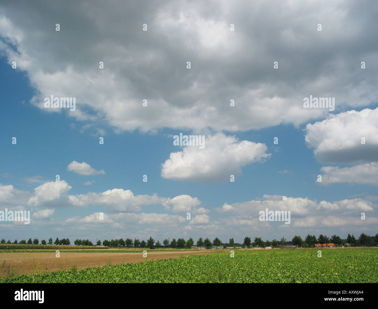 Formazioni di nubi cielo azzurro orizzonte bassa Foto Stock