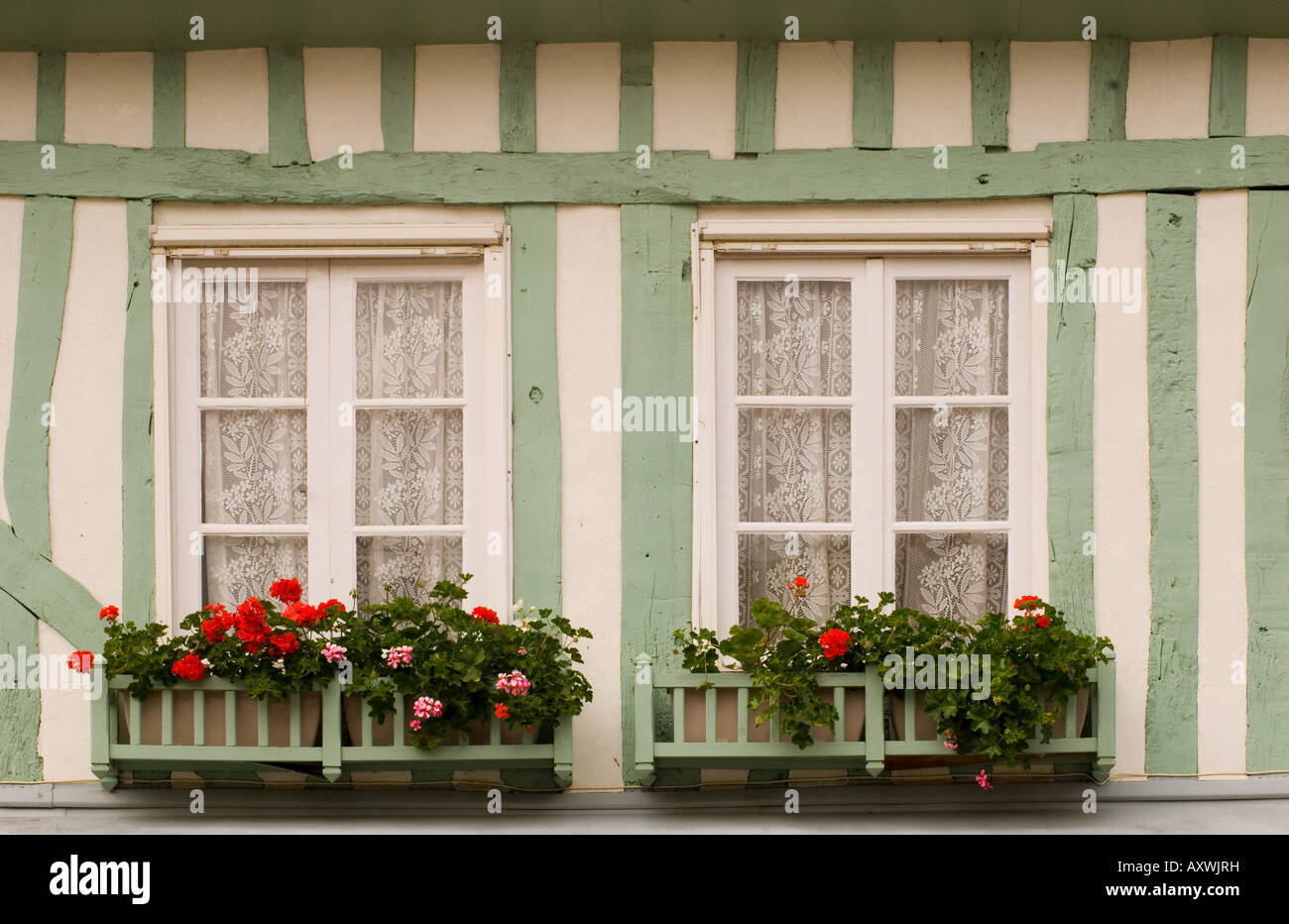 Un colorato di verde e metà bianca edificio con travi di legno con geranio fioriere in Beaumont En Auge, in Normandia, Francia, Europa Foto Stock
