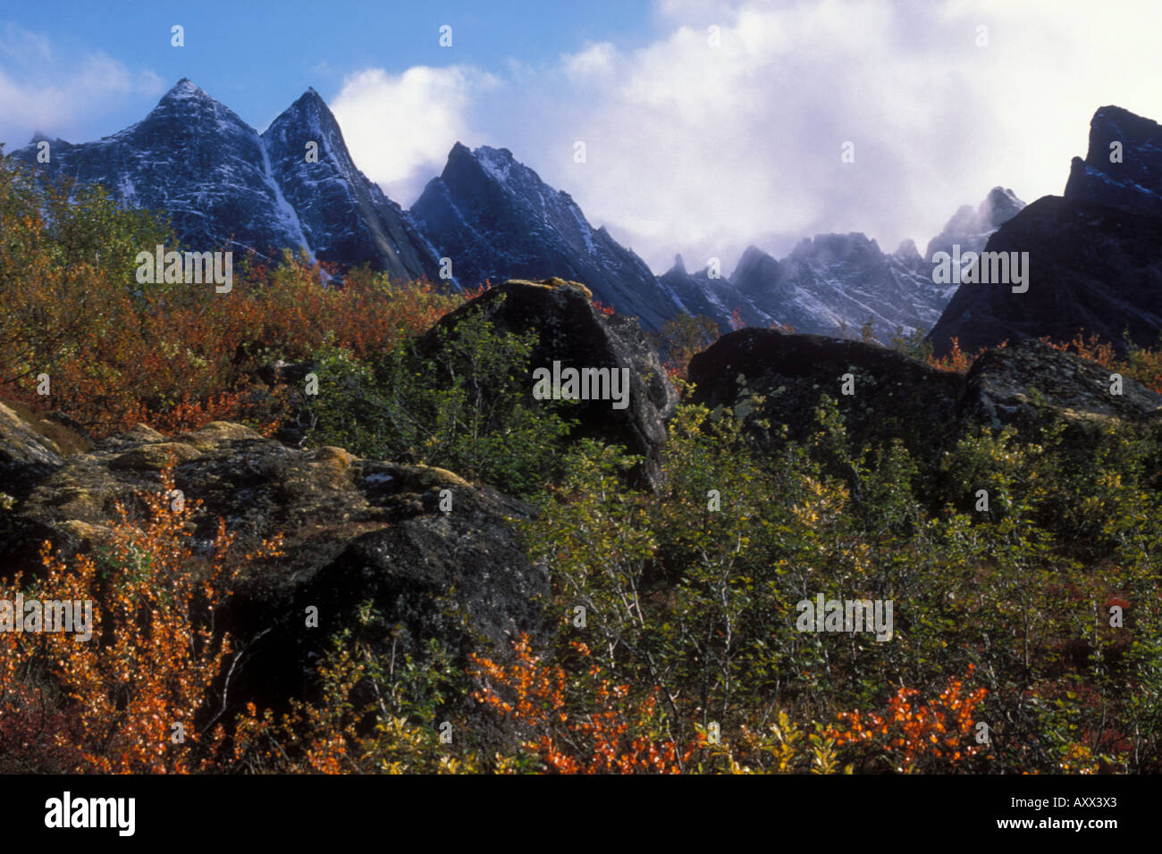 Picchi Arrigetch autunno Brooks Range cancelli dell'Artico Parco Nazionale di Alaska Foto Stock