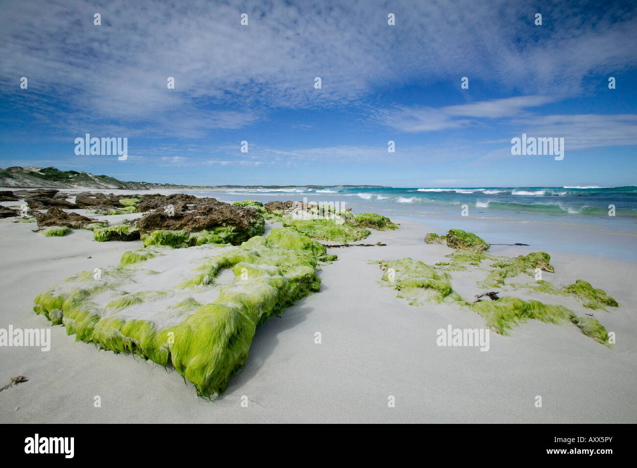 Spiaggia di costa, Kangaroo Island, South Australia, Australia Foto Stock