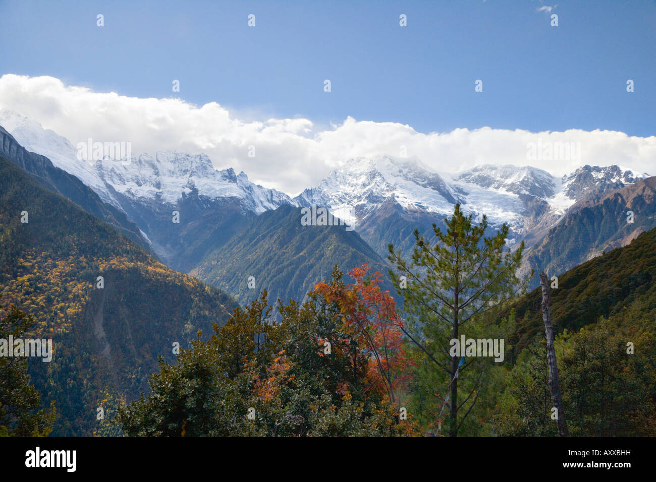 In autunno la Kawa Dampa gamma, Yubeng, Yunnan, Cina Foto Stock