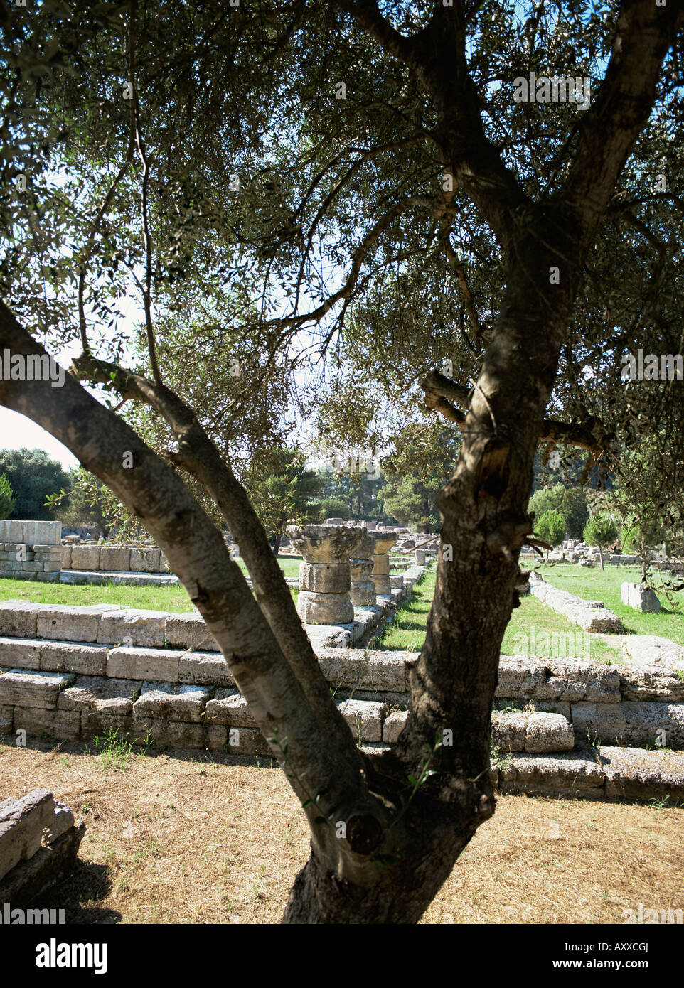 Olympia, Sito Patrimonio Mondiale dell'UNESCO, Peloponneso e Grecia, Europa Foto Stock