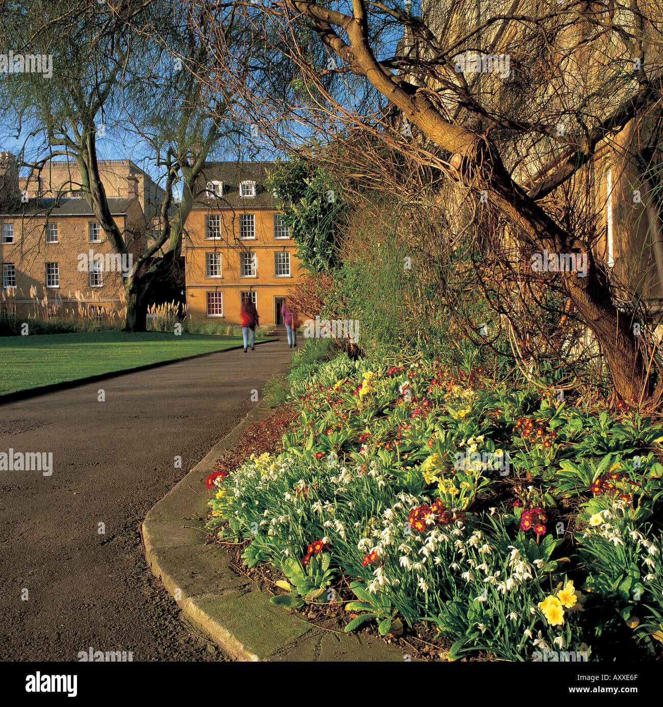 Wadham ha College di Oxford Foto Stock