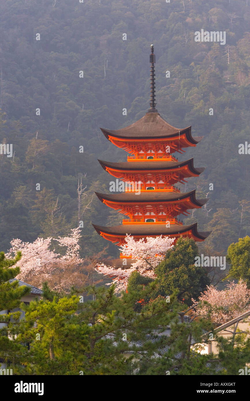 La fioritura dei ciliegi (Sakura), Itsukushima (Itsuku-shima) santuario, Miyajima, area di Hiroshima, isola di Honshu, Giappone Foto Stock