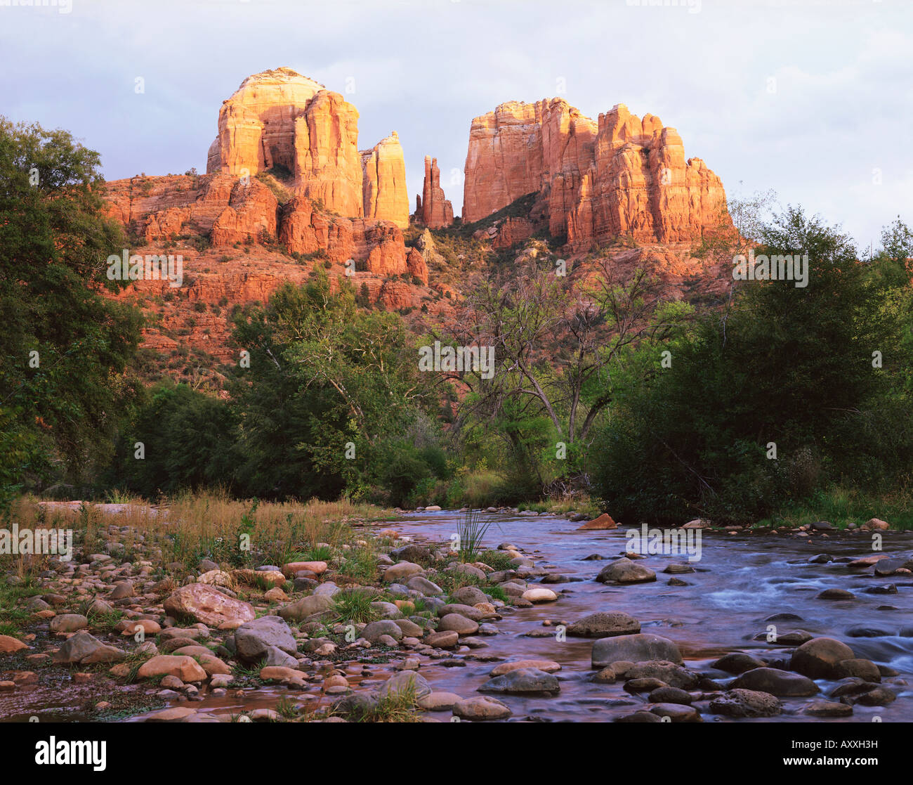 Cattedrale Rock, Sedona, in Arizona, Stati Uniti d'America (USA), America del Nord Foto Stock