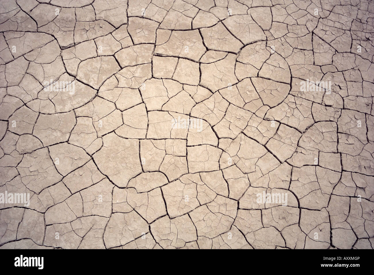 Patterns in crepe di fango nella zona di siccità Foto Stock