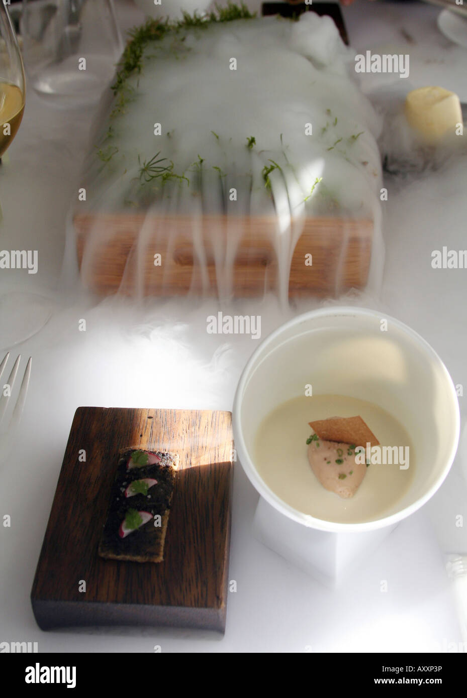 Gelatina di quaglie, LANGOUSTINE CREMA, parfait di foie gras, muschio di quercia e tartufo toast. Dal menù di assaggini di Fat Duck Restaurant, REGNO UNITO Foto Stock