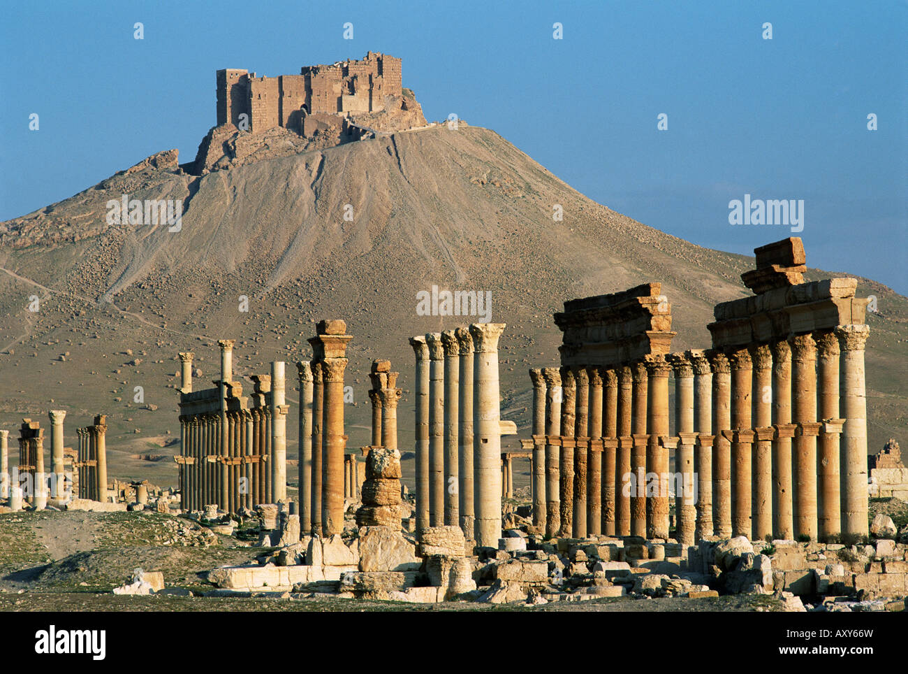 Grand colonnato e il castello arabo, Palmyra, Sito Patrimonio Mondiale dell'UNESCO, Siria, Medio Oriente Foto Stock