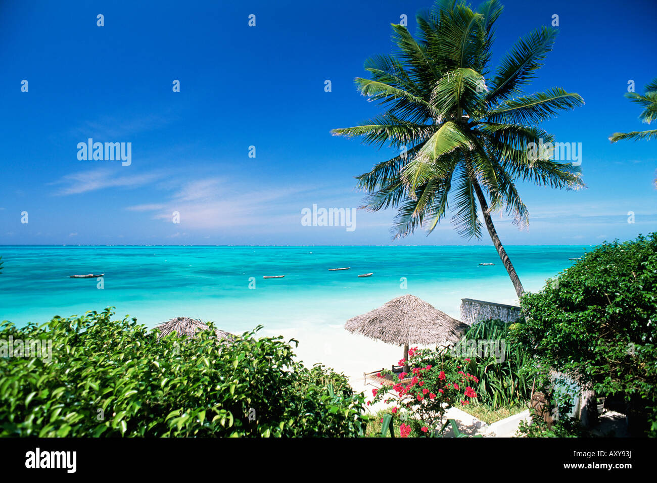 Vista attraverso le palme verso la spiaggia e Oceano Indiano, Jambiani, isola di Zanzibar, Tanzania, Africa orientale, Africa Foto Stock