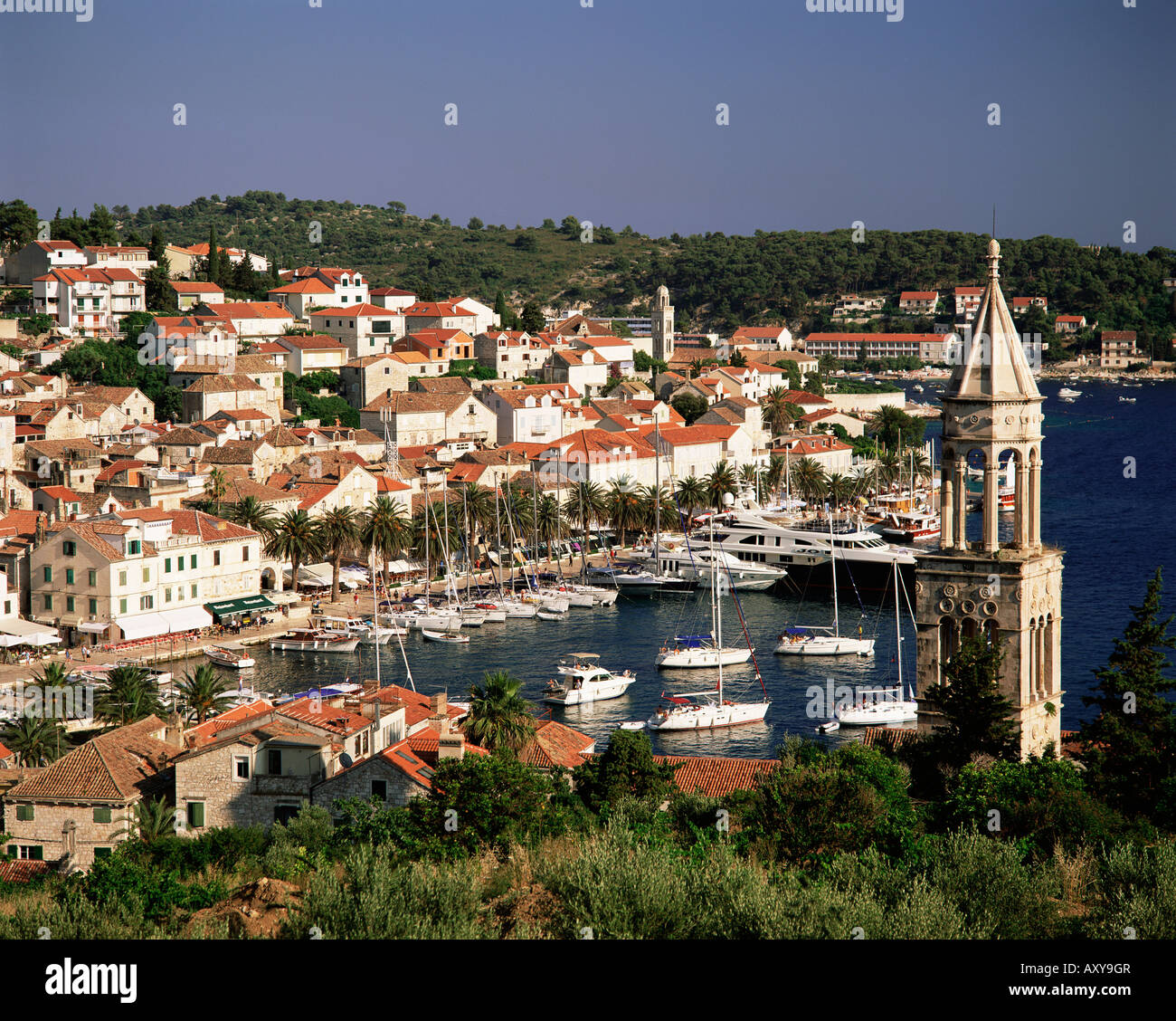 Vista della città e del porto, la citta di Hvar, isola di Hvar Dalmazia, della costa della Dalmazia, Croazia, Europa Foto Stock