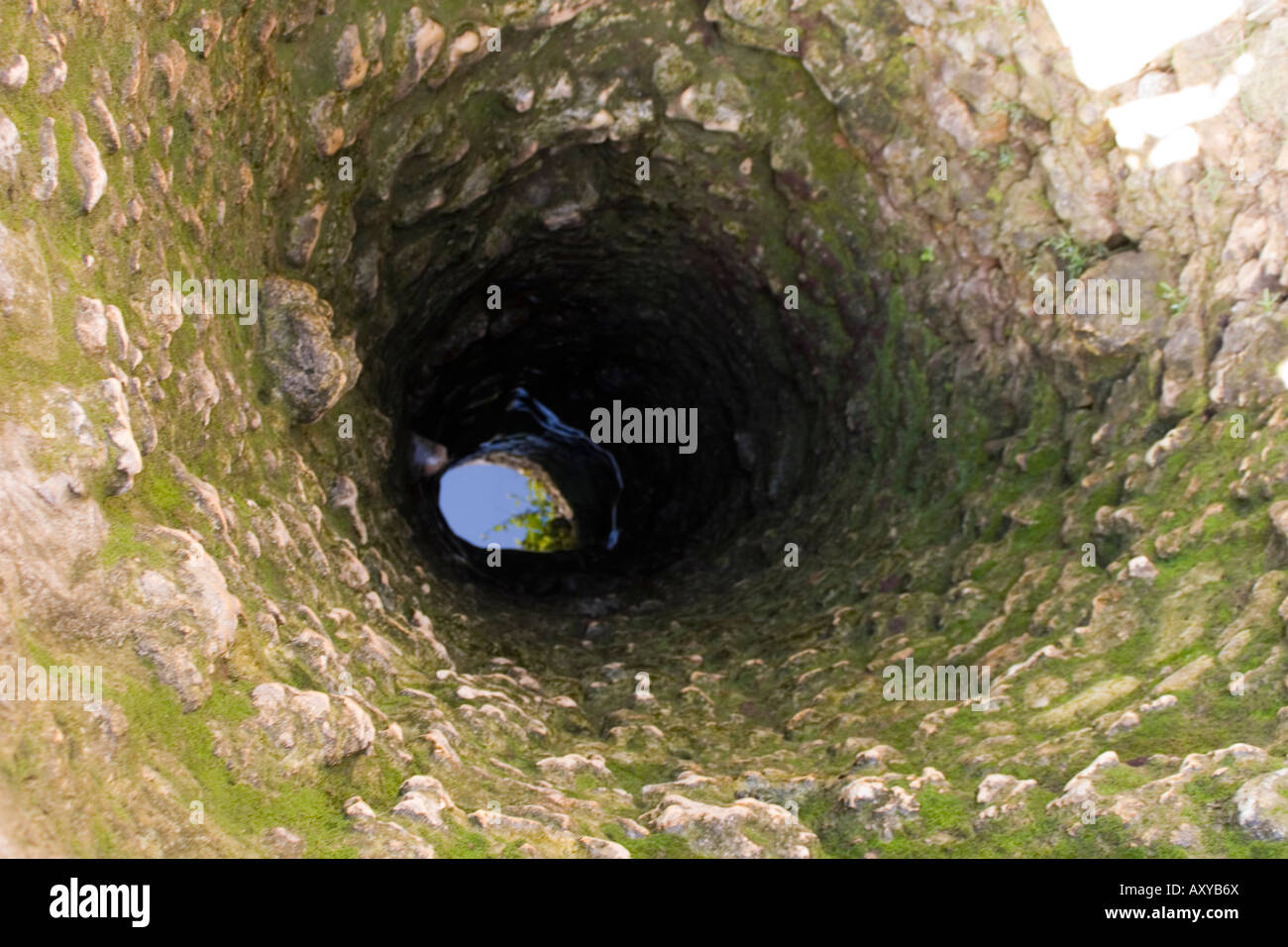 Visualizza in basso un bene su Chole Island, Tanzania Foto Stock