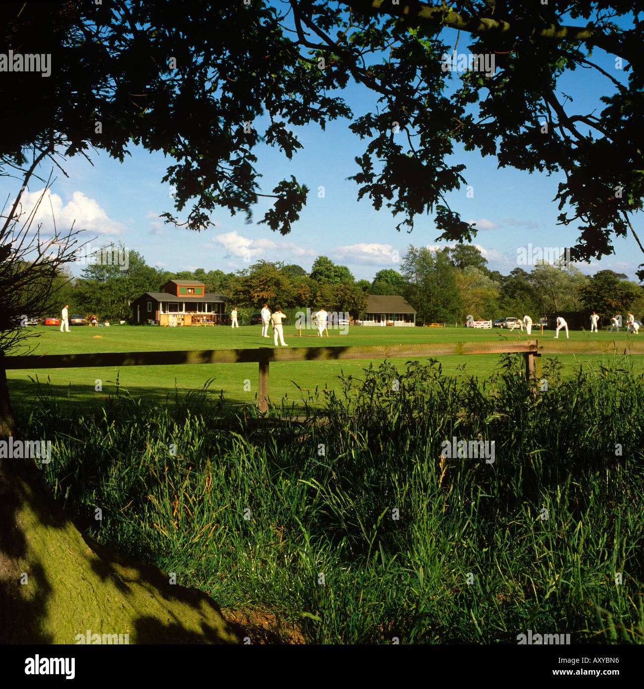 Regno Unito Cheshire Cholmondeley Castle Cricket Ground partita in corso Foto Stock