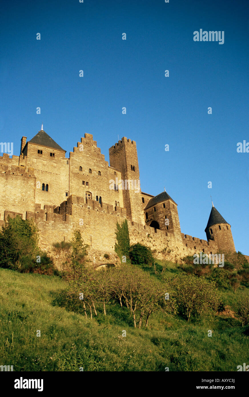 Murata e turrita fortezza di Cite, Carcassonne, Sito Patrimonio Mondiale dell'UNESCO, Languedoc, Francia, Europa Foto Stock