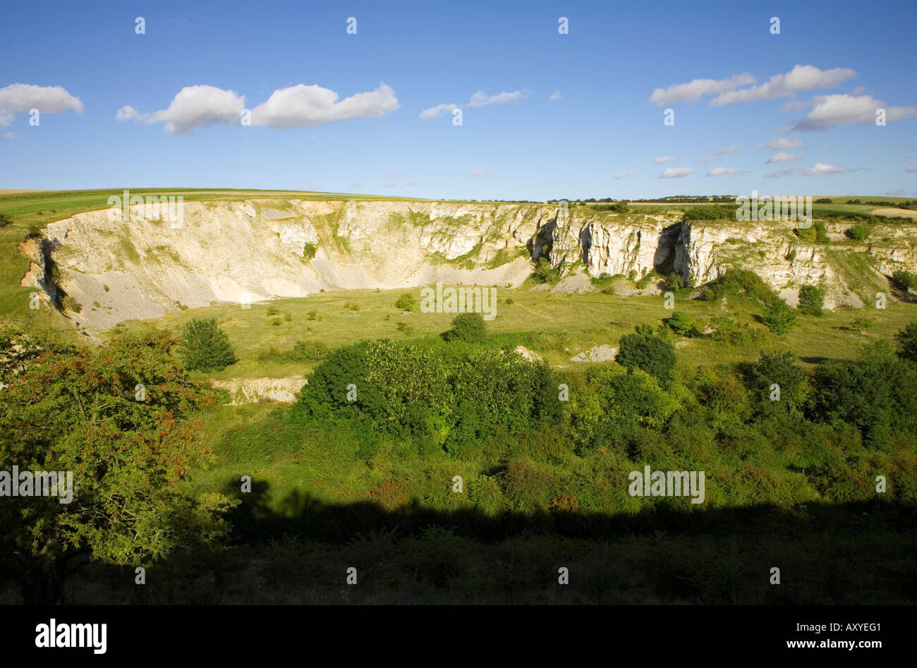 Chalk affioramento sulla Fairydale vicino Fridaythorpe nel Yorkshire Wolds Inghilterra Foto Stock