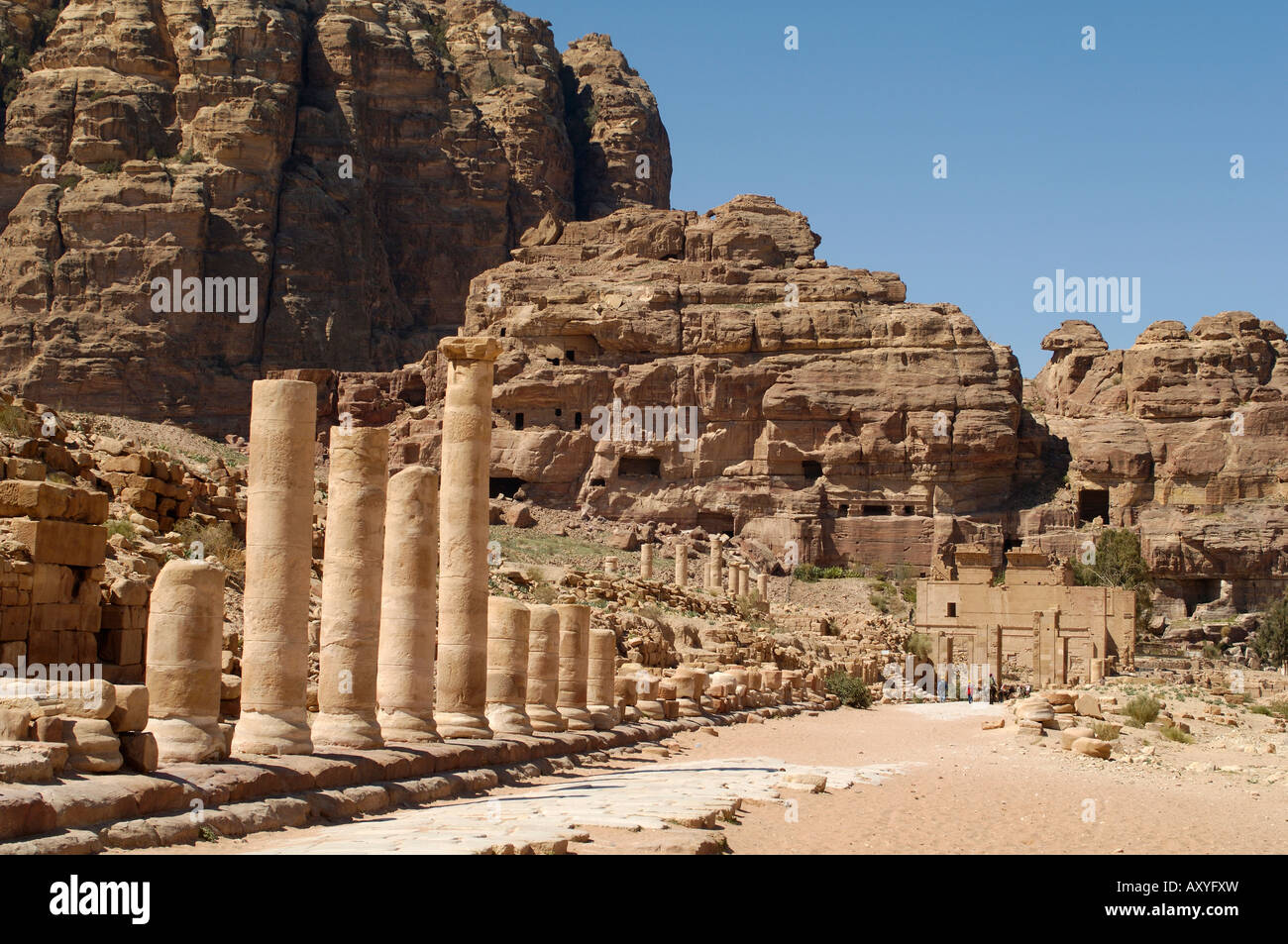 Colonnato street, Petra, Sito Patrimonio Mondiale dell'UNESCO, Giordania, Medio Oriente Foto Stock