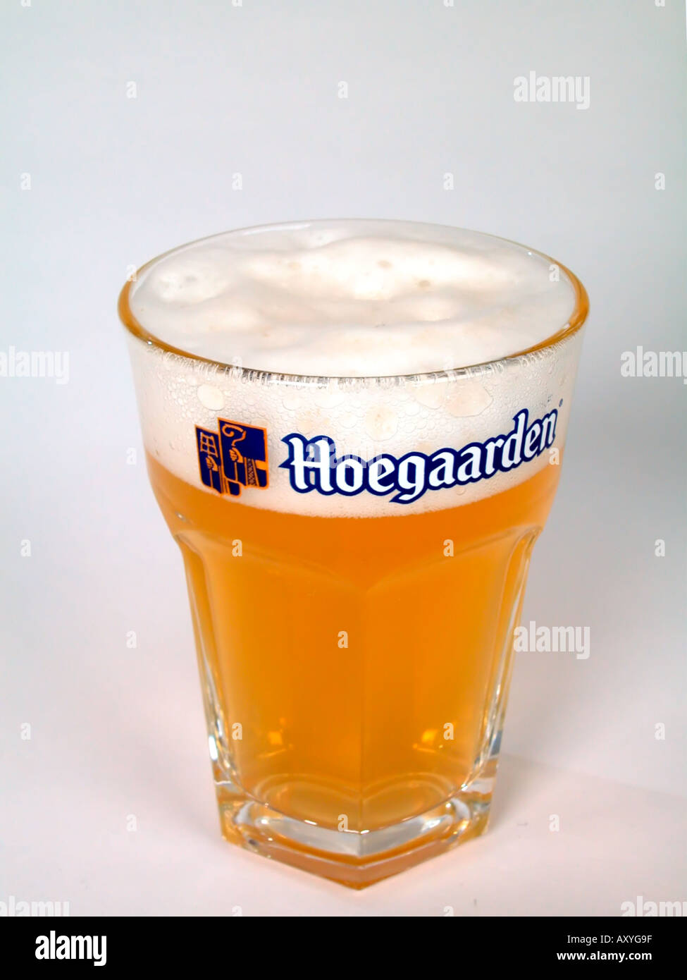 Bicchiere di Hoegaarden White Beer Belgio Foto Stock