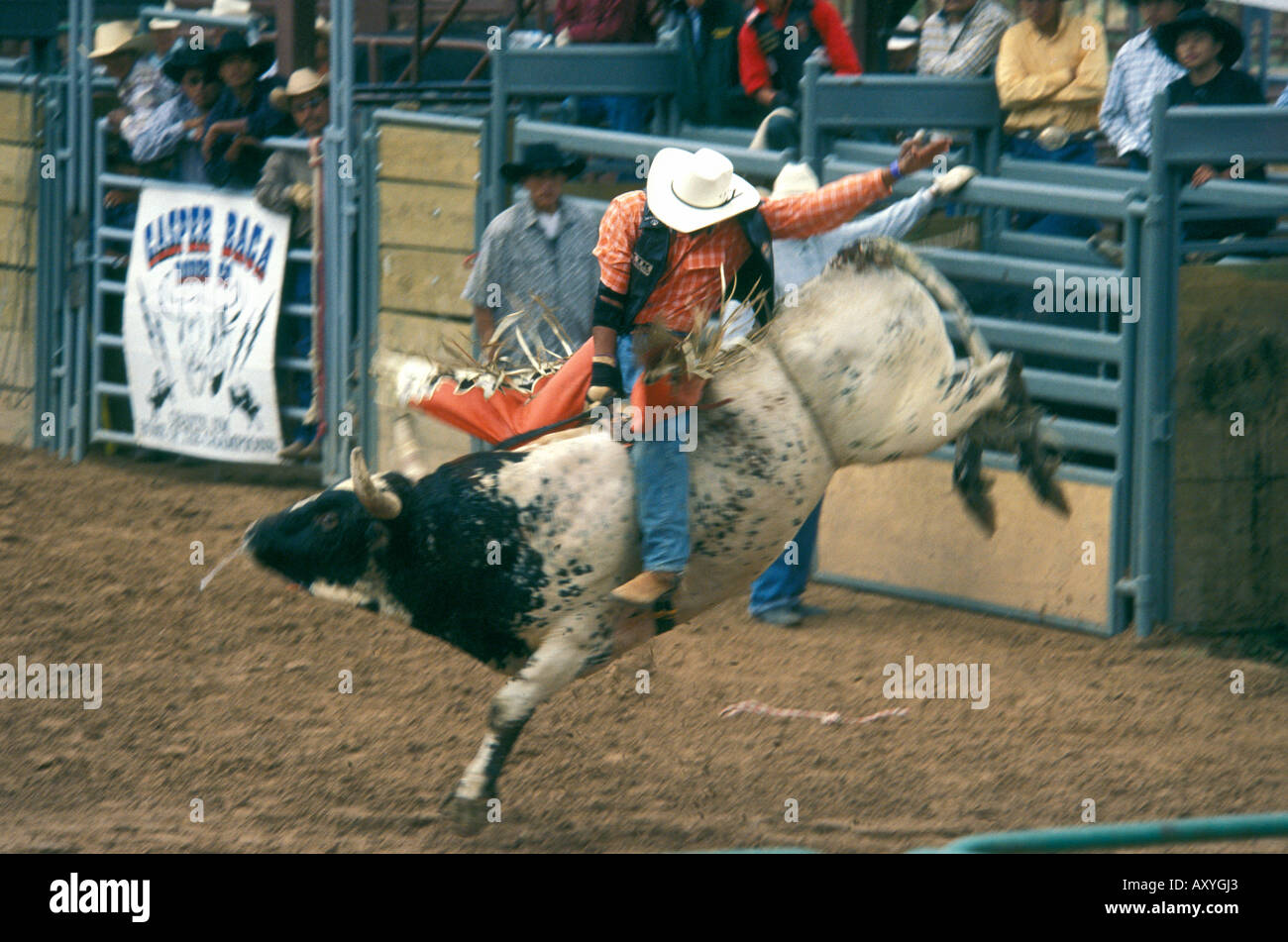 Gallup - New Mexico - USA - ottantacinquesimo Inter-festival tribali Rodeo cowboy a cavallo bull Foto Stock