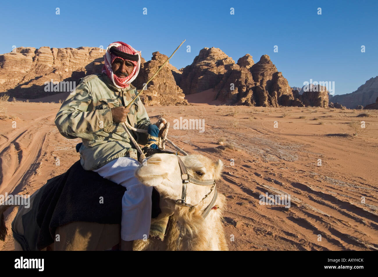 Bedouin sul cammello nel deserto, Wadi Rum, Giordania, Medio Oriente Foto Stock