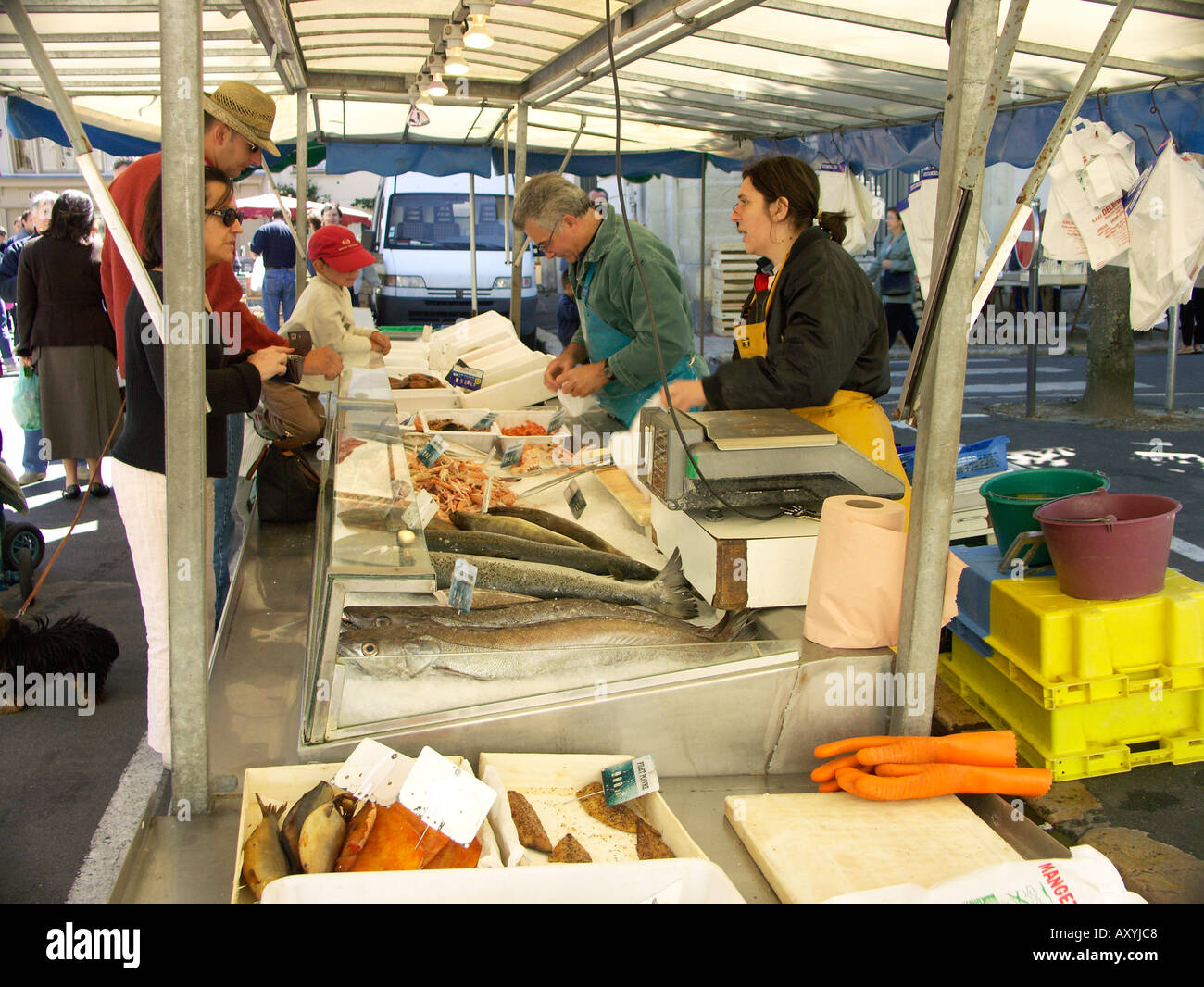 Pressione di stallo di pesce nel mercato aperto, Chinon Indre et Loire Francia Touraine Foto Stock