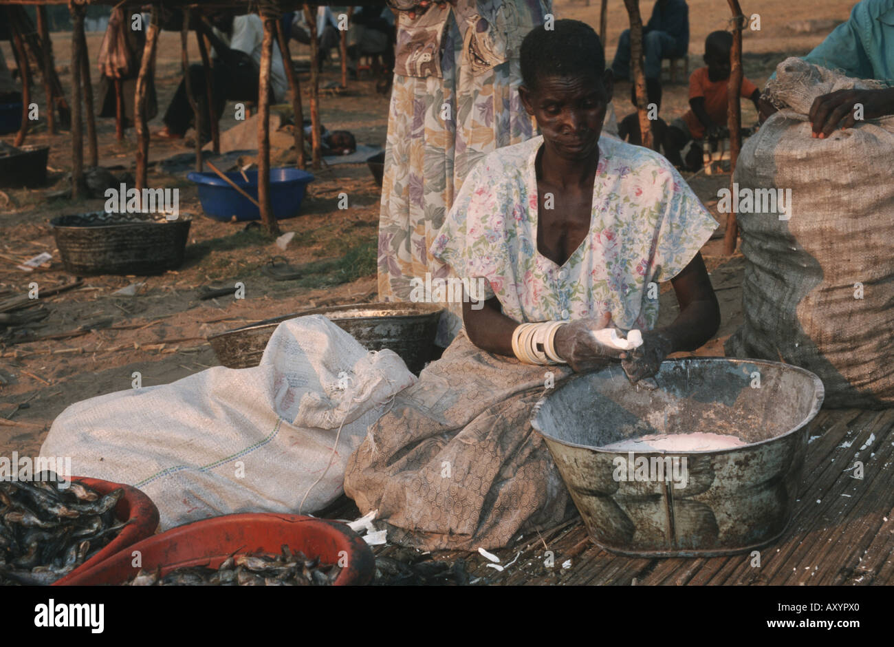 La manioca, manioca Tapioc, Tapioca (Manihot esculenta) vecchia donna vendita di tapioca-radici, Zambia Zambia occidentale, Mongu Foto Stock