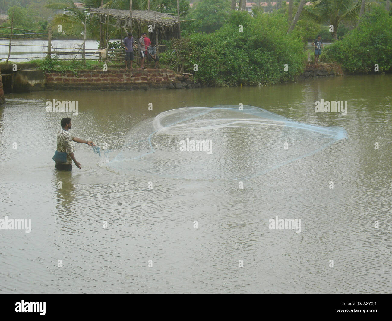 Fisherman fusione il suo net in un piccolo lago, India Foto Stock
