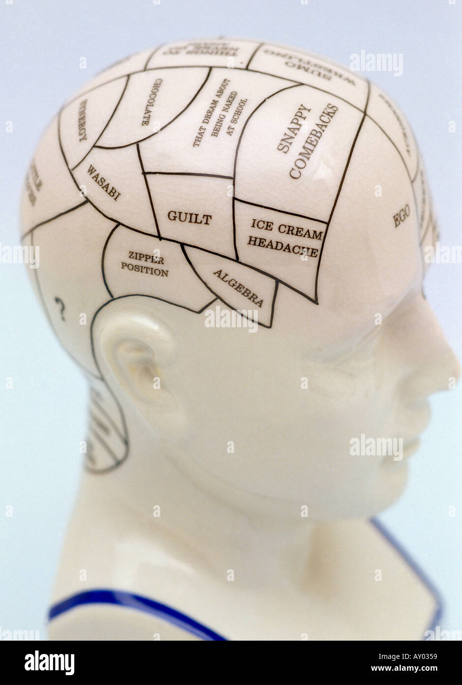 Il Phrenology modello di testa della testa Foto Stock