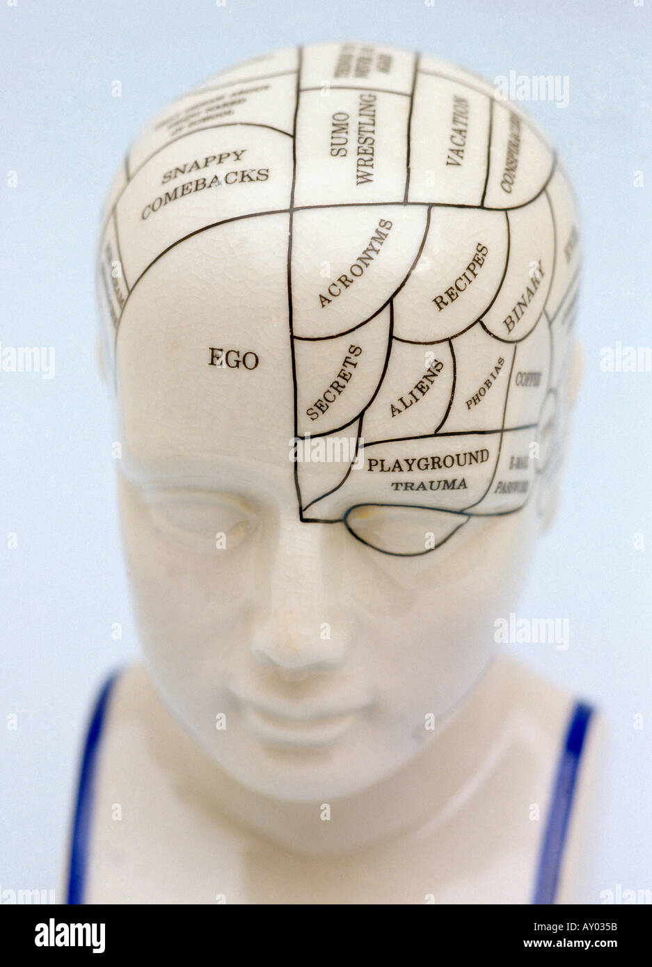 Il Phrenology modello di testa della testa Foto Stock