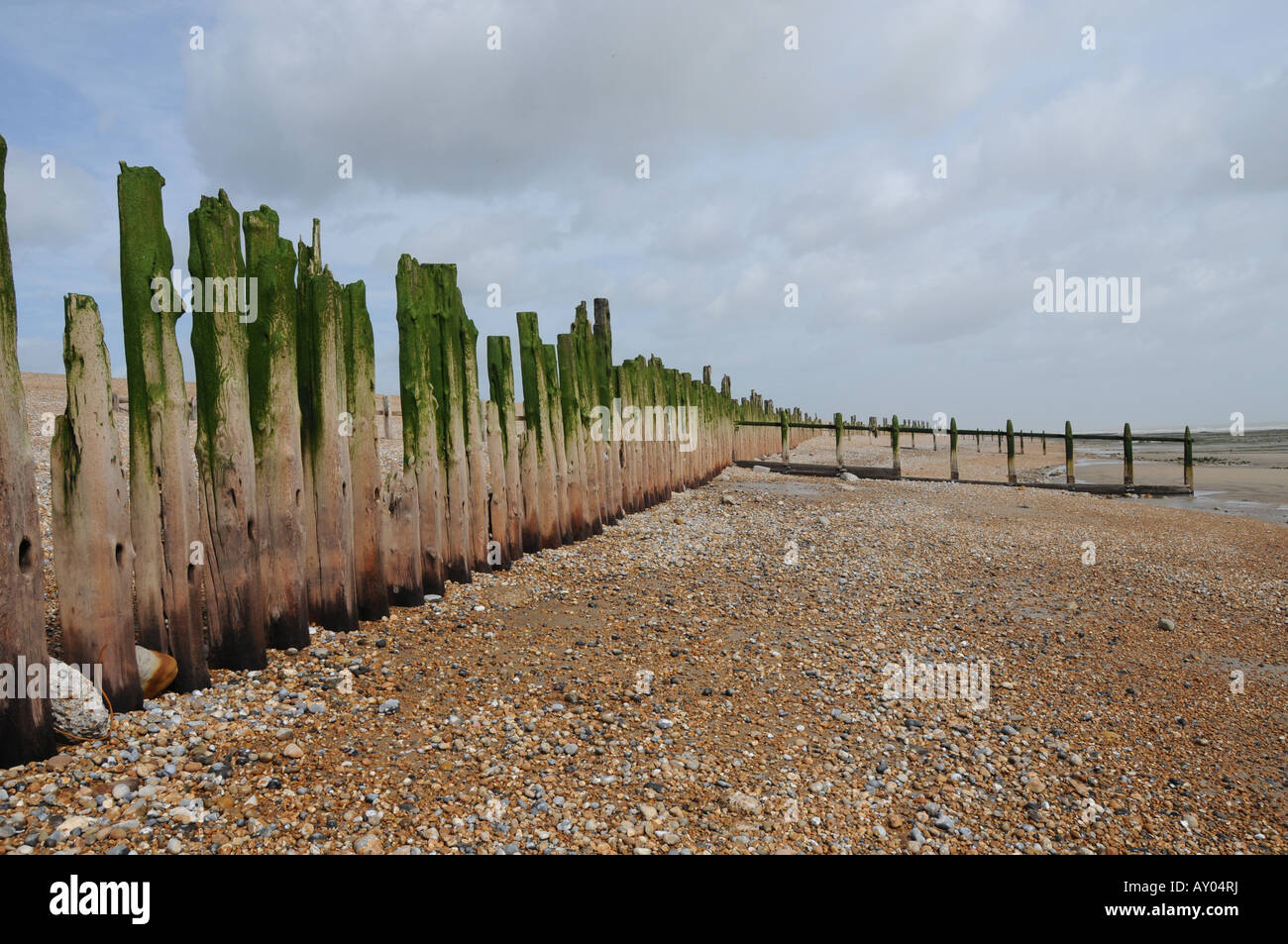 Vecchio mare difese, Winchelsea Beach, East Sussex, Regno Unito Foto Stock