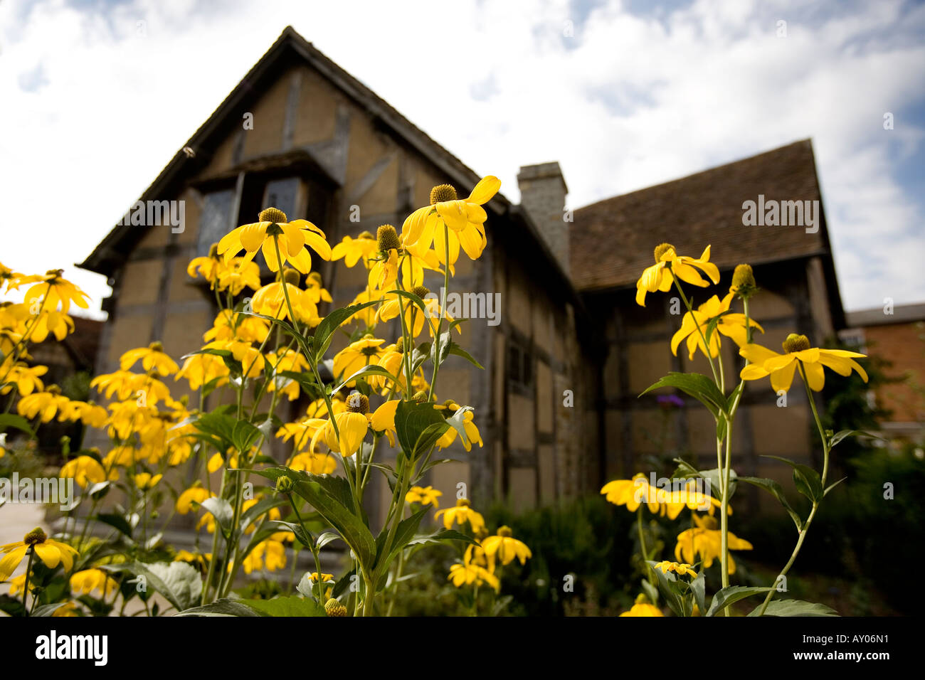 Shakespeare Birthplace in Henley Street Stratford upon Avon Warwickshire Foto Stock