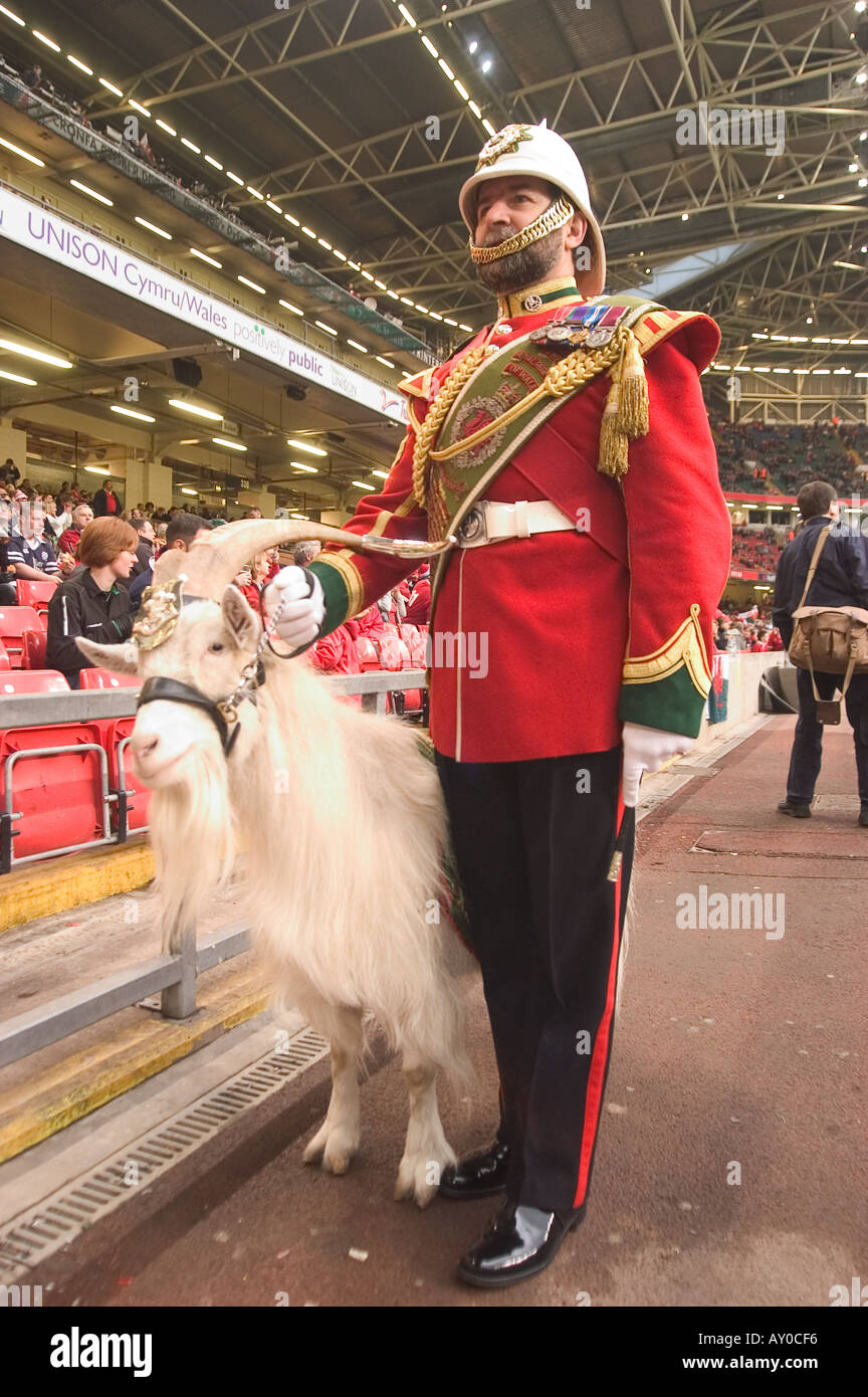 Cardiff 14 2 04 Millenium Stadium di capra con maggiore Shenkin la mascotte del reggimento del reggimento reale del Galles dw Foto Stock