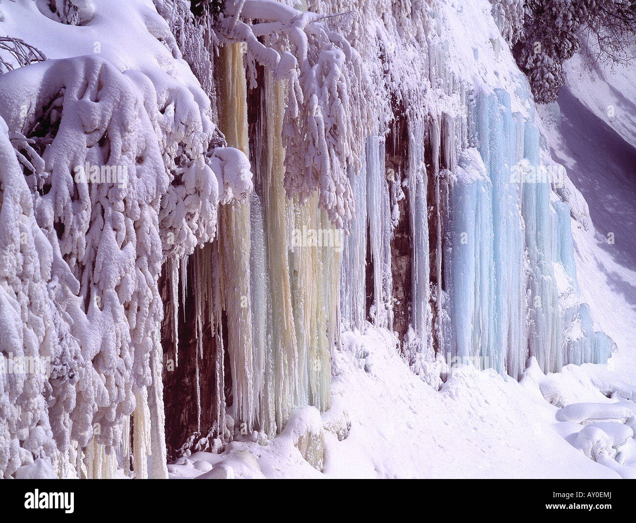 Ghiaccioli adiacente a Tahquamenon Falls, Penisola Superiore, Michigan Foto Stock