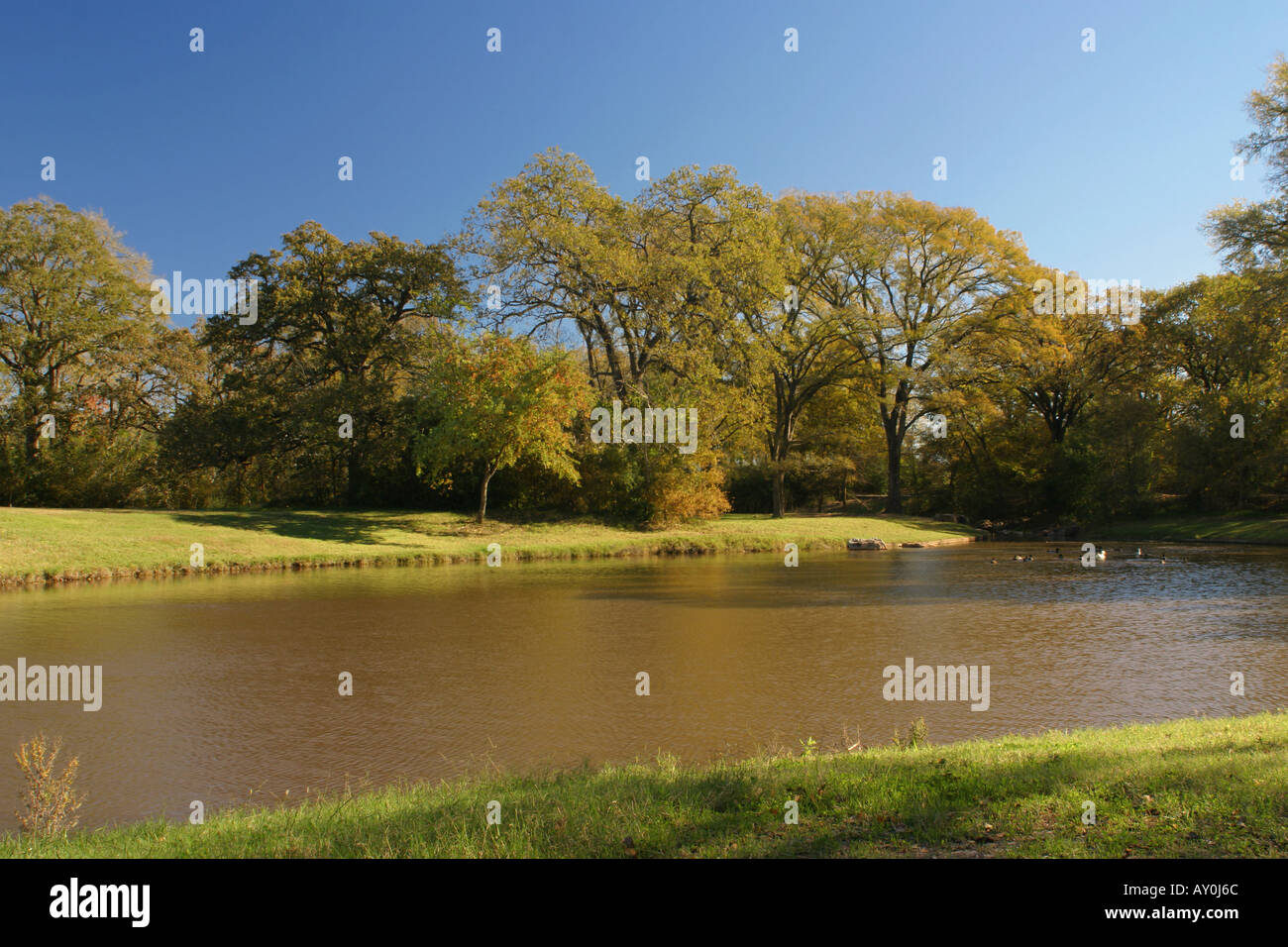 Bellissimo Parco in Texas Foto Stock